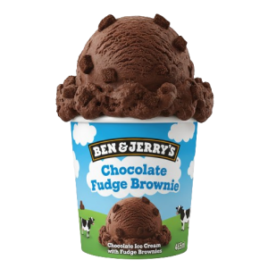 Ben&Jerry's Chocolate Fudge